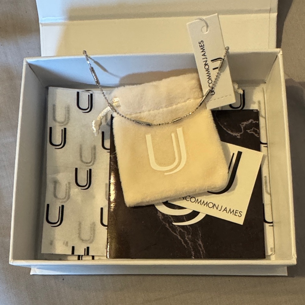NWT Uncommon James Silver Choker Necklace